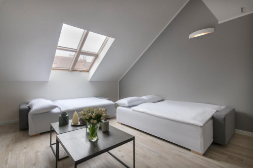 Inviting 2-bedroom flat in Smíchov