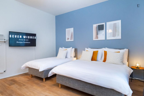 Alluring studio in Karlín