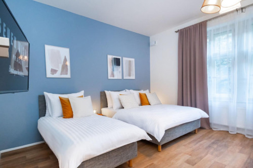 Alluring studio in Karlín