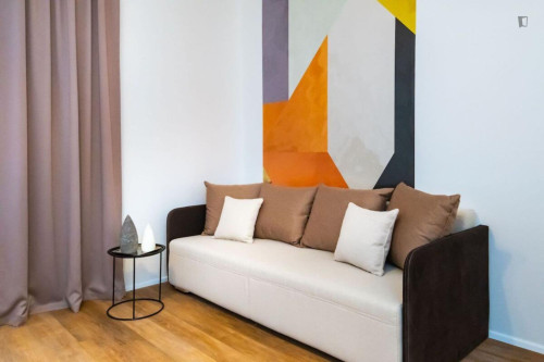 Alluring studio in Karlín