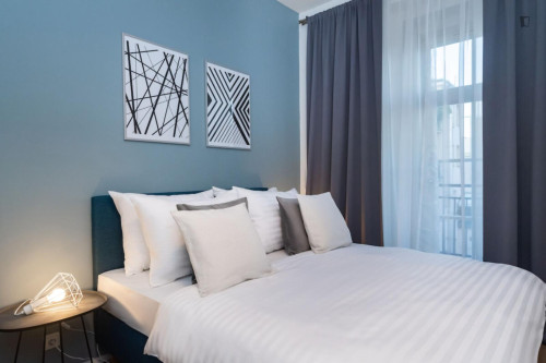 Appealing 1-bedroom apartment in Karlín