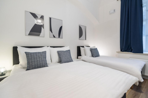 Dashing studio in Karlín