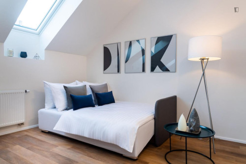 Alluring studio in Karlín