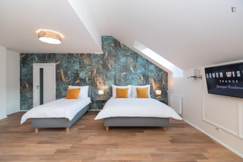 Alluring studio in Karlín