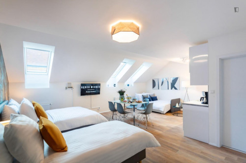 Alluring studio in Karlín  - Gallery -  5