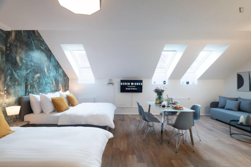 Alluring studio in Karlín