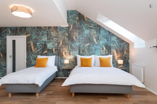 Alluring studio in Karlín