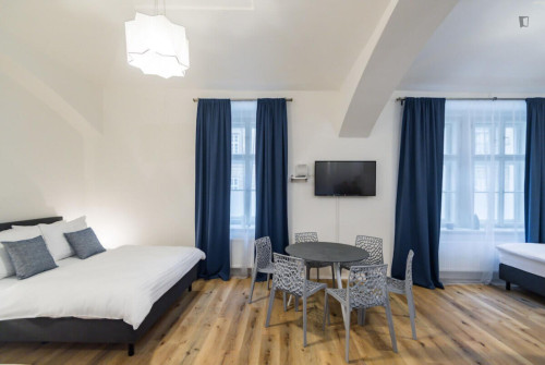 Luxurious studio in Karlín