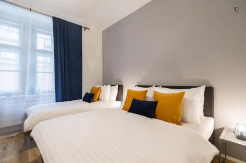 Luxurious studio in Karlín