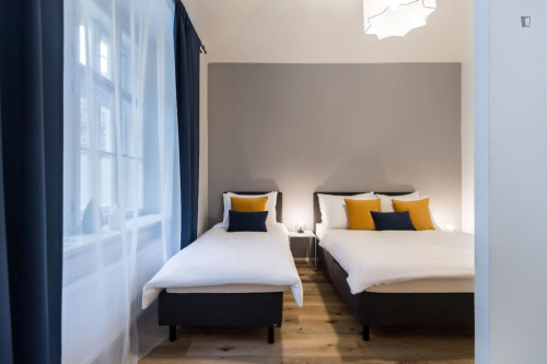 Luxurious studio in Karlín