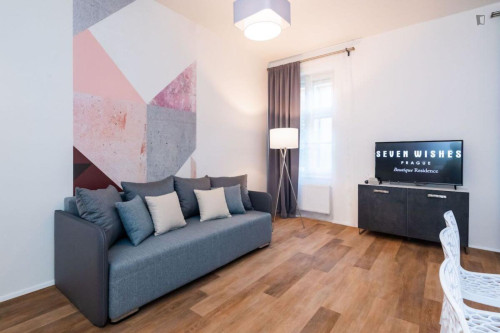 Stylish 1-bedroom apartment in Karlín