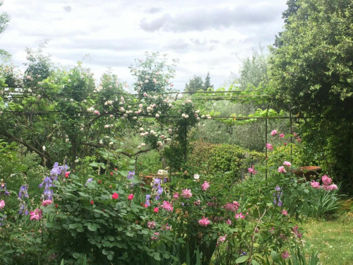 Bright 3 bedroom apartment near Firenze Castello train station