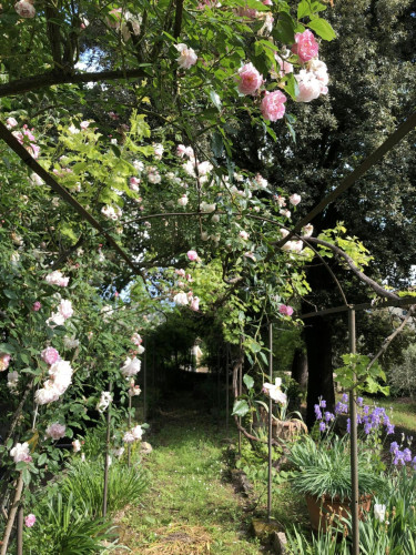 Bright 3 bedroom apartment near Firenze Castello train station