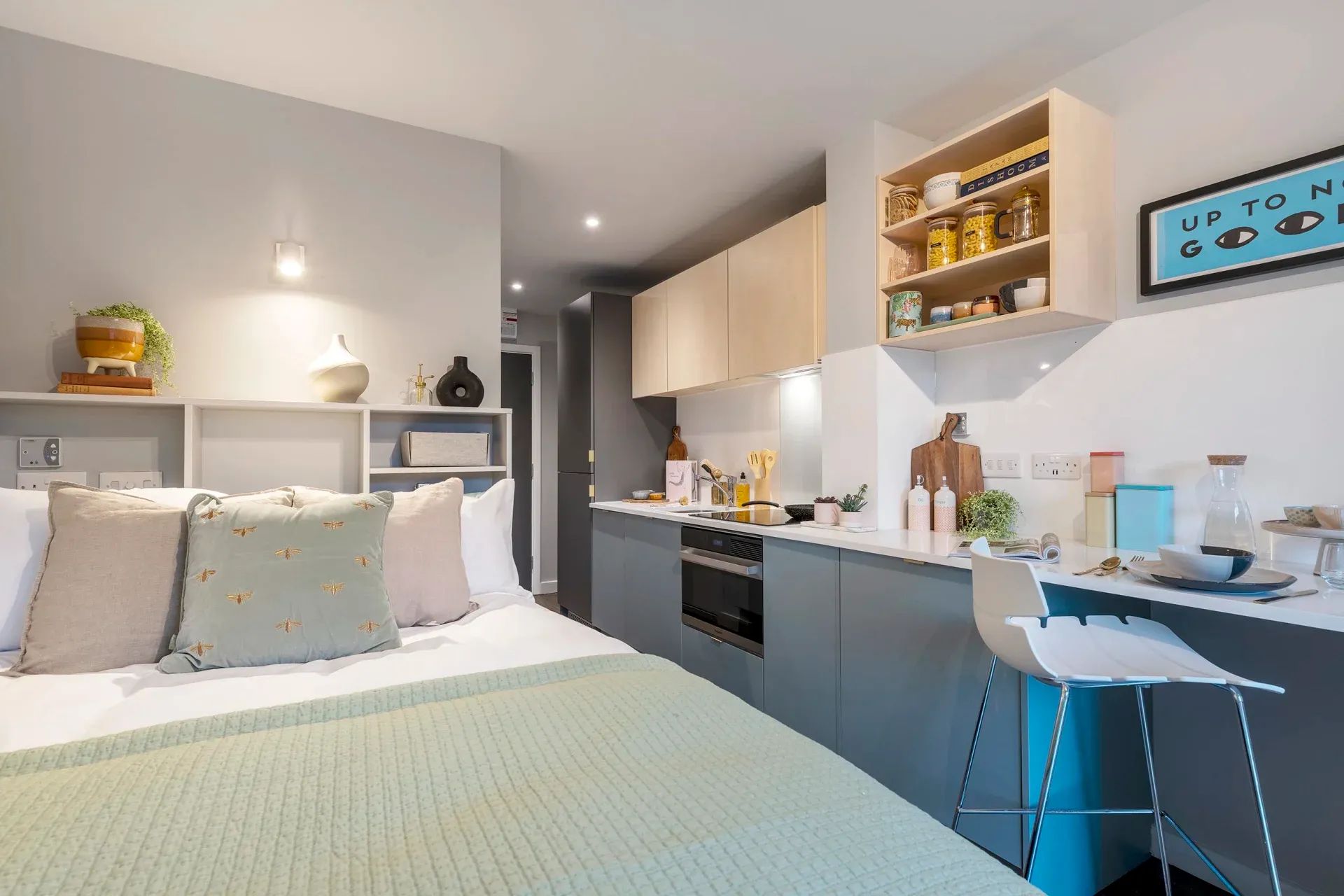  Executive Studio  -  The Aspen  - Gallery -  7