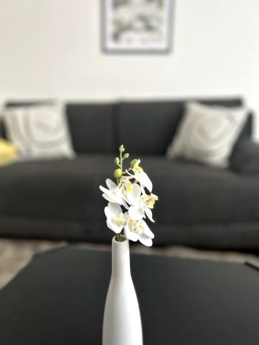 Quiet accommodation with Netflix, kitchen & washing machine
