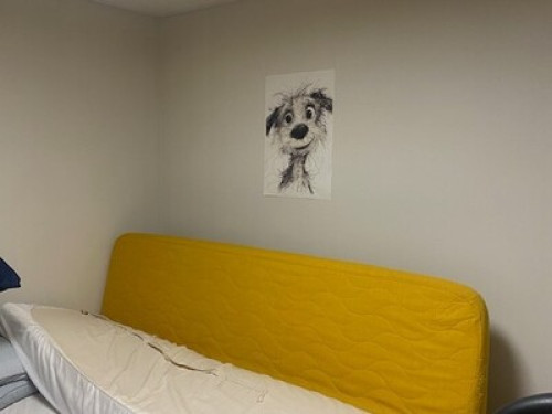 easy, single with 2 cats!