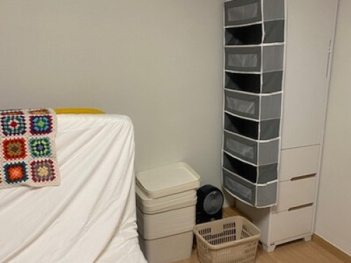 easy, single with 2 cats!