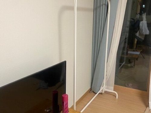 easy, single with 2 cats!