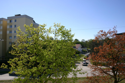 Great & wonderful studio located in München