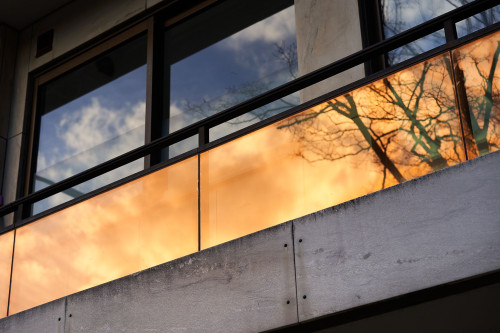 Amazing and spacious flat located in Düsseldorf