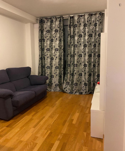 Welcoming 1 Bedroom Apartment close to Burgos University