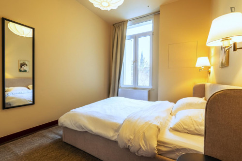 Lovely double bedroom in Seefhoek