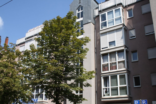 Nice Apartment in the middle of the City Karlsruhe in a great living place