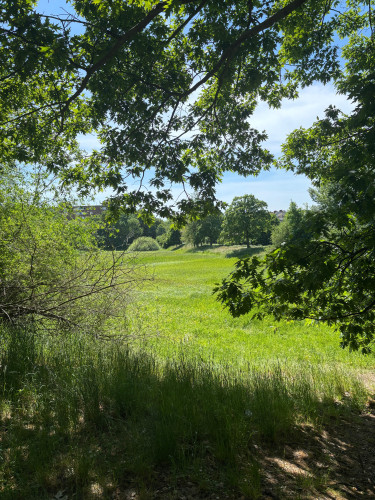 High celling flat right on the river in Mitte/Gesundbrunnen with loggia