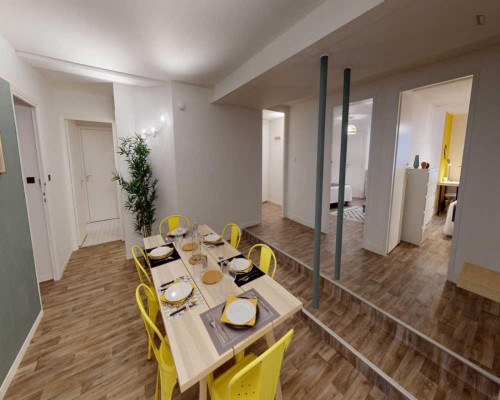 Spacious double bedroom in Capitole de Toulouse