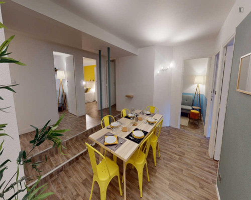 Spacious double bedroom in Capitole de Toulouse