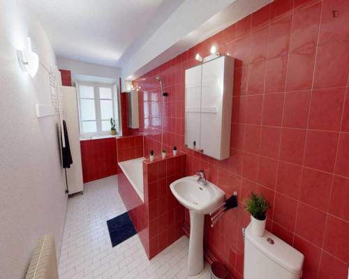 Spacious double bedroom in Capitole de Toulouse