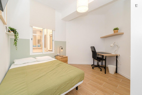 Great looking single bedroom