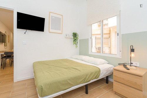 Great looking single bedroom