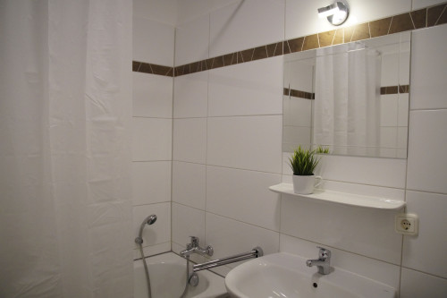 Cute apartment in Magdeburg  - Gallery -  5