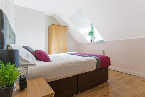 563 Meanwood Road - Gallery - 9