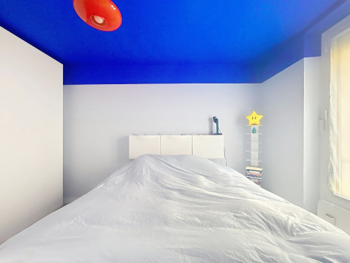 2-room cozy apartment - Paris 15