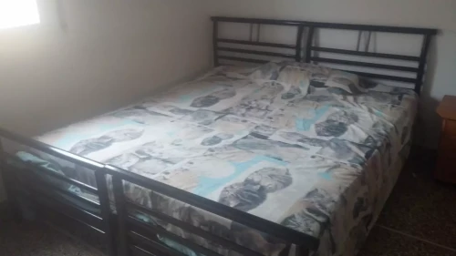 Room in a shared 2-bedroom apartment for rent in Bolognina