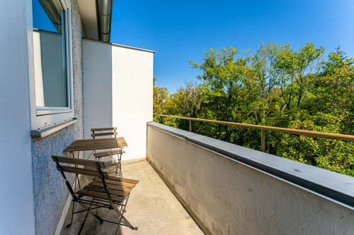 Fritz-Werner-Straße