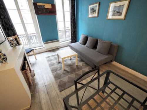 Apartment in the center of Paris