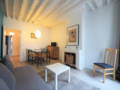 Apartment in the center of Paris