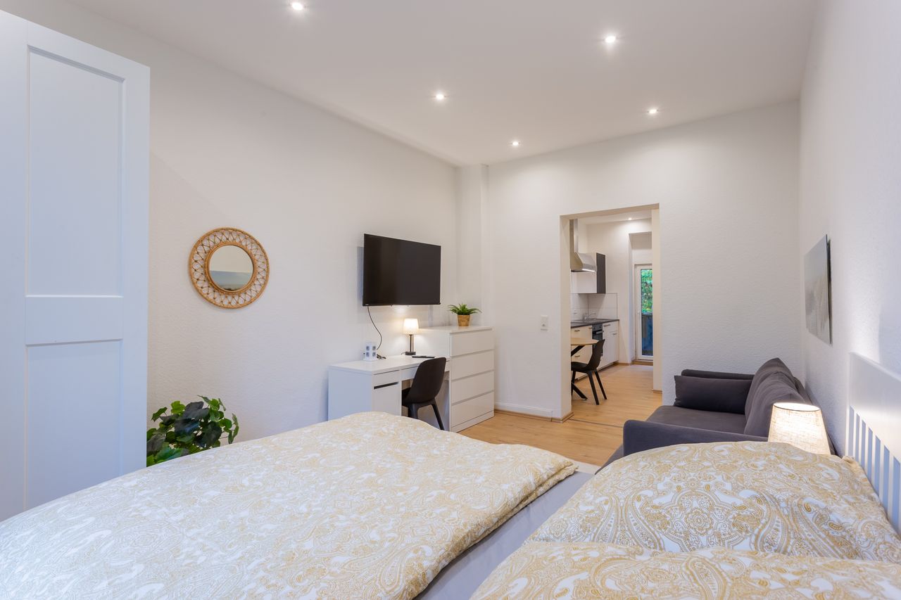 One-Room Apartment - 5