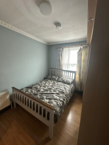 16 Elizabeth RD - Gallery - 8