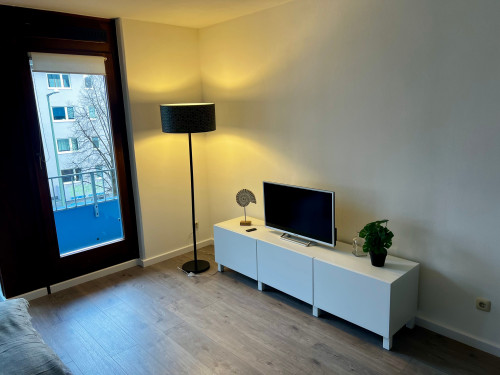 Stylish, fully furnished apartment – first occupancy after renovation