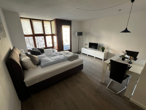 Stylish, fully furnished apartment – first occupancy after renovation