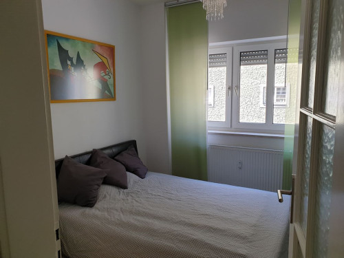 Luxury suite with full equipment in Untergiesing