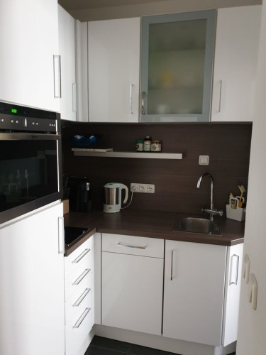 Luxury suite with full equipment in Untergiesing