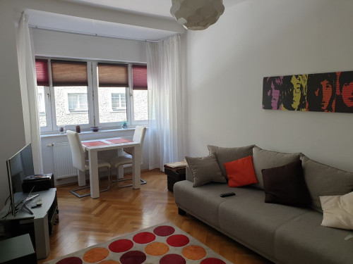 Luxury suite with full equipment in Untergiesing