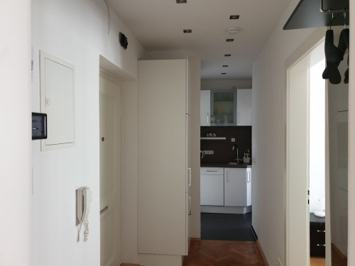 Luxury suite with full equipment in Untergiesing