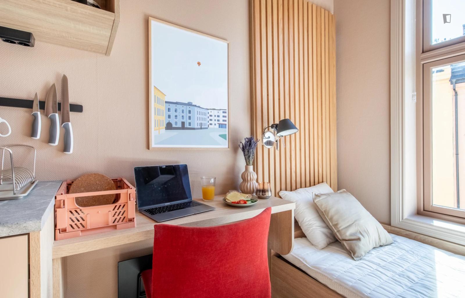  Great Studio In Well-Connected Grünerløkka  -  Great studio in well-connected Grünerløkka  - Gallery -  1