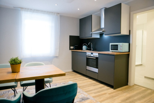 Stylish & Modern 1-Bedroom Apartment with Kitchen & Bathroom - Gallery - 15